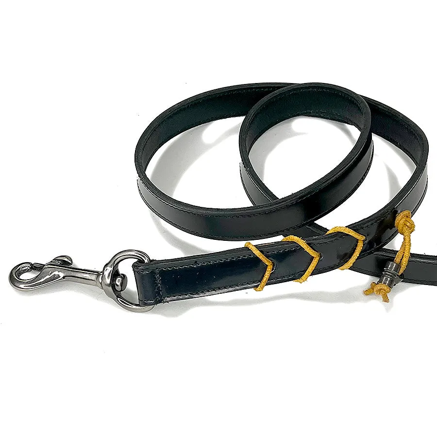 Tiger Eye Polished Leather Leash